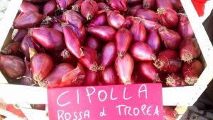 Cipolla1