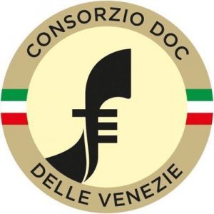 Logo Cons delle Venezie