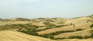 cinigiano-hills